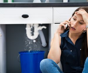About Plumbers Pros Pelham, TN